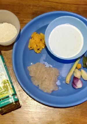 Foto resep MPASI 6M+ "Bubur Opor Ayam"