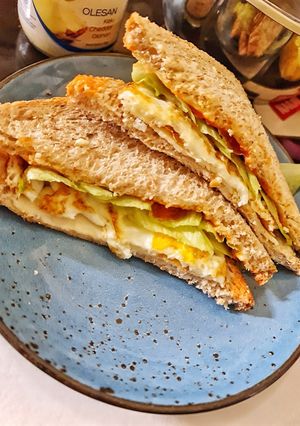 Foto resep Sandwich Gandum