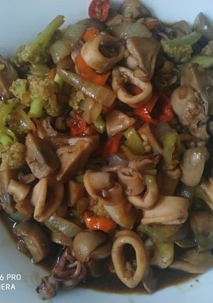 Foto resep Tumis cumi jamur dengan sayur kol