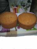 Simple coconut cake