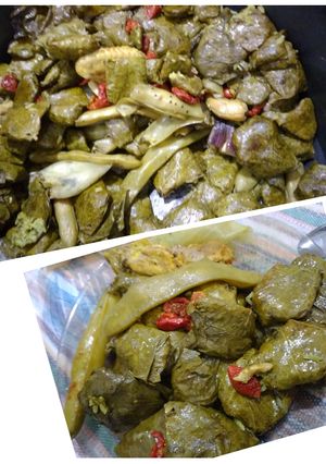 عکسی از دستور دلمه 😋