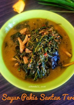 Foto resep 231. Sayur Pakis Santan Teri