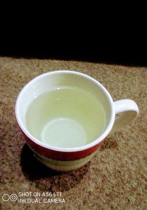 A picture of LemonLime Zest Tea.