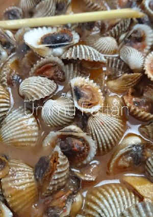 Foto resep Kerang Dara Saus Padang