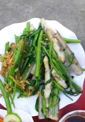 Hình của món Ốc móng tay xào rau muống.