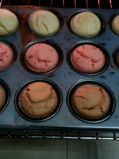 A picture of Flavoured cupcakes.