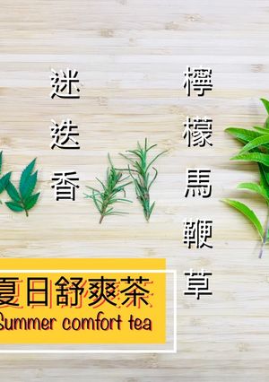 夏日舒爽茶 的食譜成品照片