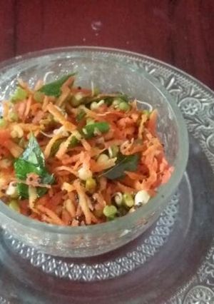 A picture of Carrot sprout salad.