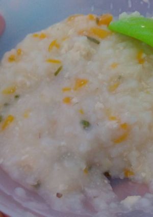 Foto resep MPASI 8+ BUTATEL - Bubur Tahu Wortel