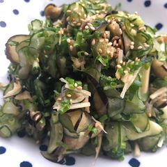 A picture of Zucchini Eggplant Cucumber Salad.
