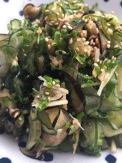 A picture of Zucchini Eggplant Cucumber Salad.