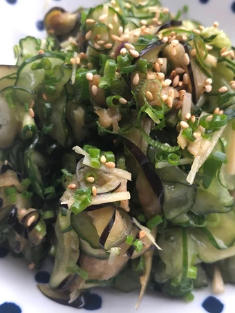 Simple Way Make Recipe Zucchini Eggplant Cucumber Salad that is  Makes Drooling, Really Delicious}