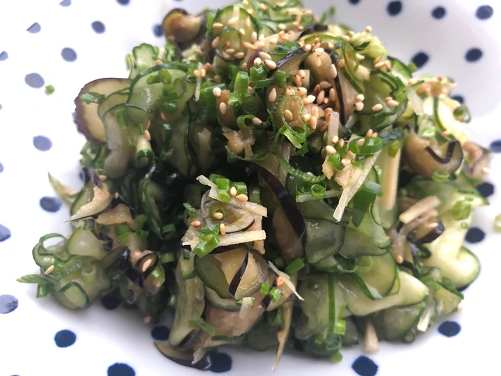 Simple Way Make Recipe Zucchini Eggplant Cucumber Salad that is  Makes Drooling, Really Delicious}