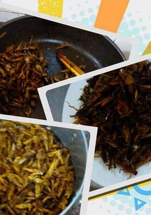 Hình của món Cào cào/ Châu chấu/ Tôm bay rang giòn.