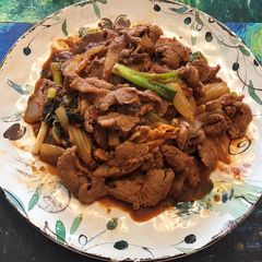 A picture of Korean Cuisine- Pork Bulgogi.