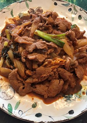 A picture of Korean Cuisine- Pork Bulgogi.