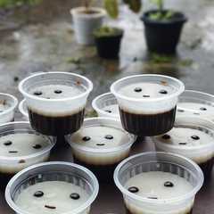 รูปของ Puding coklat sederhana