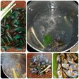 Tips tentang seputar kerang