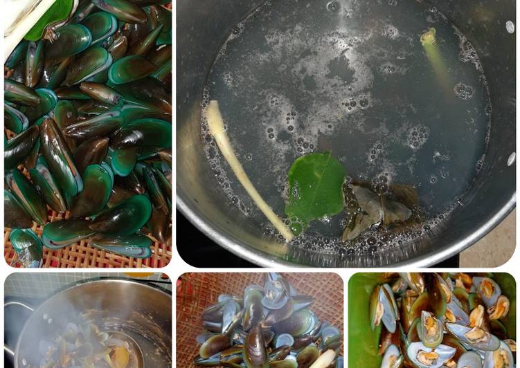 Tips tentang seputar kerang