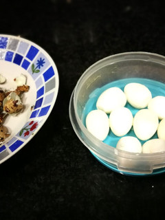 Una foto de Huevos de codorniz cocidos