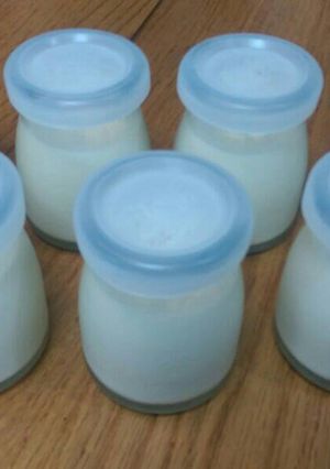 義式奶酪 的食譜成品照片