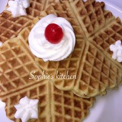 A picture of Waffles.