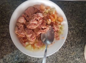 Una foto de Ensalada de atún con cebolla cabezona, apio, tomate y manzana