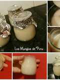 Noyogur de sorbete de limón (sin gluten, sin lácteos, sin sorbitol, bajo en fructosa...)
