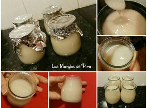 Foto principal de Noyogur de sorbete de limón (sin gluten, sin lácteos, sin sorbitol, bajo en fructosa...)