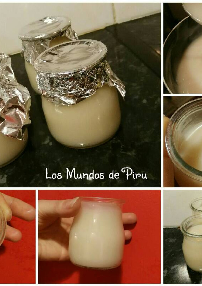 Una foto de Noyogur de sorbete de limón (sin gluten, sin lácteos, sin sorbitol, bajo en fructosa...)
