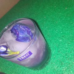 A picture of Magic Bluebellvine Lemonade.