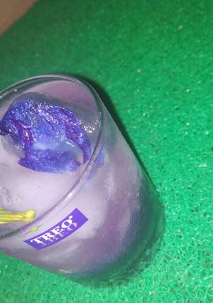 A picture of Magic Bluebellvine Lemonade.