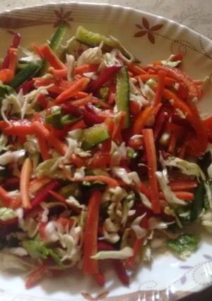 A picture of Weight loss Diet salad.