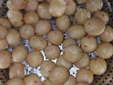 सूजी के लड्डू (Suji ke laddo recipe in hindi)
