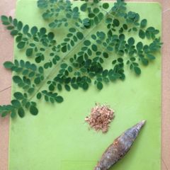 A picture of Dried Mas and Drumstick leaves curry.