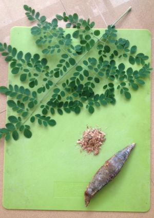 A picture of Dried Mas and Drumstick leaves curry.