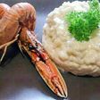 Risotto a la crema de cigalas