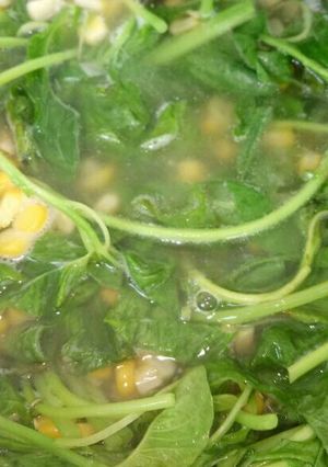 Foto resep Sayur bening sederhana