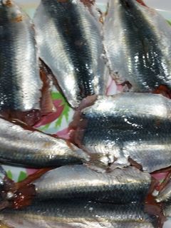 صورة لوصفة سمك 🐟سردين 🐟في فرن امممم بنة مفيهاش زيت