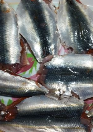صورة لوصفة سمك 🐟سردين 🐟في فرن امممم بنة مفيهاش زيت