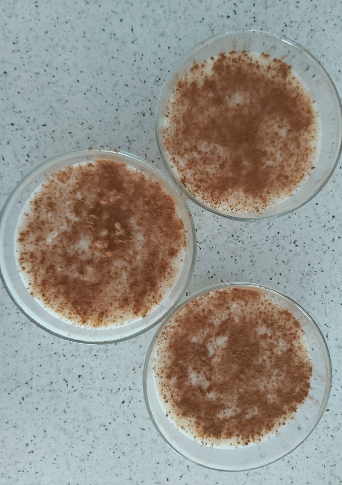 Una foto de Arroz con leche..🤤