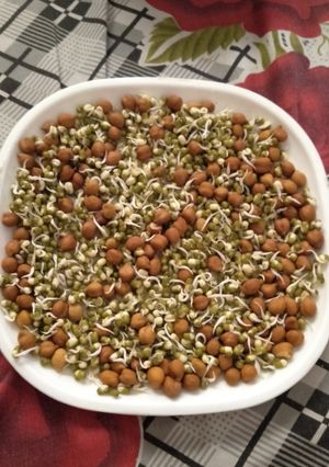 A picture of Soaked sprouts.