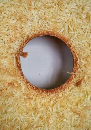 Foto resep Cake tape keju