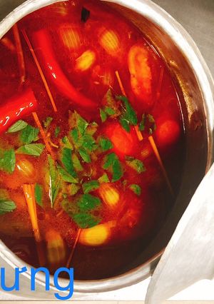 Hình của món Lẩu Tôm Càng.