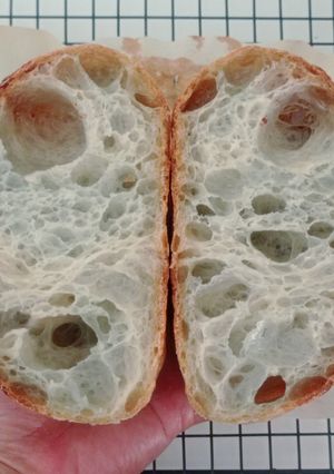 Foto resep Blue Spirulina Swirl Sourdough Bread