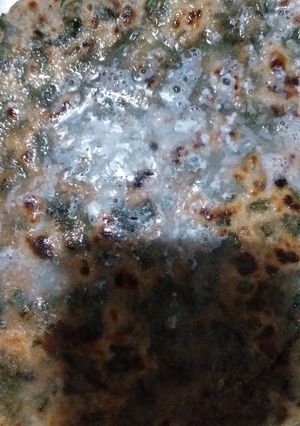 A picture of Palak parantha.
