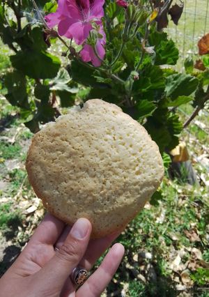 Una foto de Polvorones