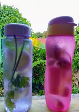 Foto resep Infus Water Timun dan Seledri