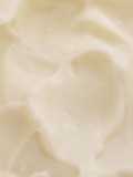 Tricia's Homemade Mayonnaise