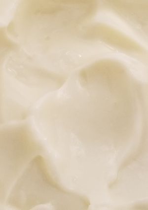 A picture of Tricia's Homemade Mayonnaise.